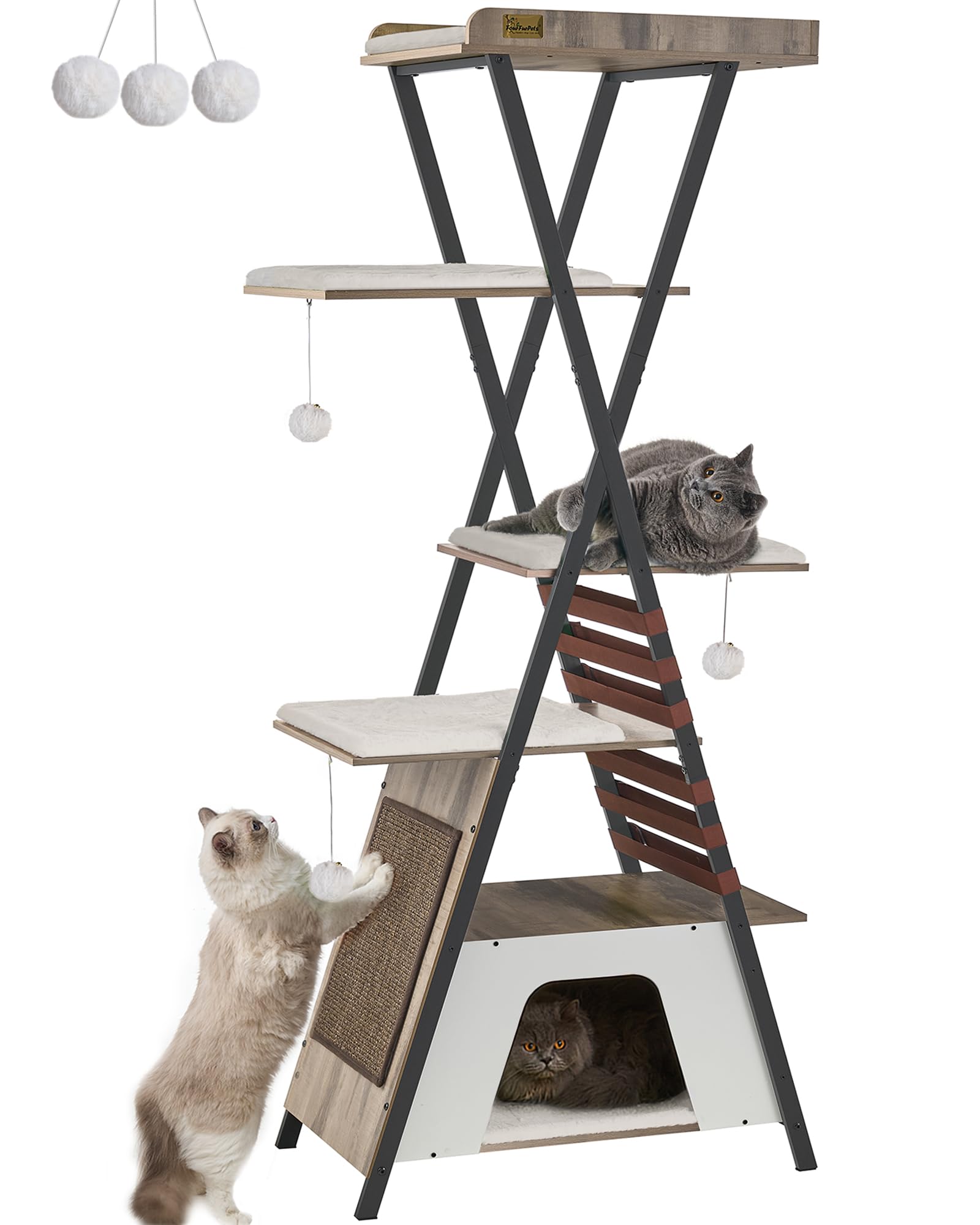 Amazon.com : FourFurPets 72.4